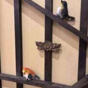 ヒメ日記 2025/10/29 21:39 投稿 又木 鶯谷デッドボール