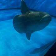 ヒメ日記 2025/10/31 22:19 投稿 又木 鶯谷デッドボール