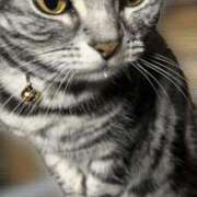 ヒメ日記 2025/11/07 21:29 投稿 又木 鶯谷デッドボール