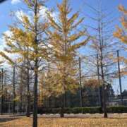 ヒメ日記 2025/11/15 21:55 投稿 又木 鶯谷デッドボール