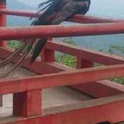 ヒメ日記 2025/12/01 17:45 投稿 又木 鶯谷デッドボール