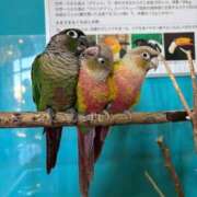 ヒメ日記 2025/12/08 11:39 投稿 又木 鶯谷デッドボール