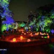 又木 12/12お礼①② 鶯谷デッドボール