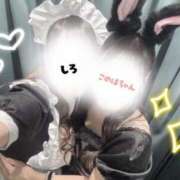 ヒメ日記 2025/10/26 19:03 投稿 しろ 2980円