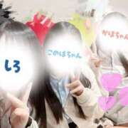 ヒメ日記 2025/12/27 08:53 投稿 しろ 2980円