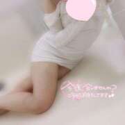 ヒメ日記 2025/07/27 17:32 投稿 みお 横浜ひよこ倶楽部