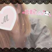 ヒメ日記 2025/12/15 18:06 投稿 みお 横浜ひよこ倶楽部