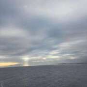 ヒメ日記 2026/03/29 12:56 投稿 みお 横浜ひよこ倶楽部