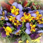 ヒメ日記 2025/02/26 14:23 投稿 村瀬 渚 こあくまな熟女たち伊勢崎店（KOAKUMAグループ）