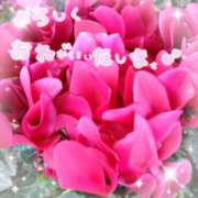 ヒメ日記 2025/02/27 08:41 投稿 村瀬 渚 こあくまな熟女たち伊勢崎店（KOAKUMAグループ）