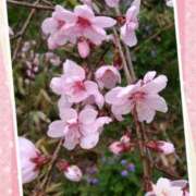 ヒメ日記 2025/02/28 22:09 投稿 村瀬 渚 こあくまな熟女たち伊勢崎店（KOAKUMAグループ）