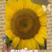 ヒメ日記 2025/08/02 20:28 投稿 村瀬 渚 こあくまな熟女たち伊勢崎店（KOAKUMAグループ）