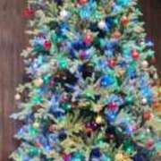 ヒメ日記 2025/12/24 16:14 投稿 村瀬 渚 こあくまな熟女たち伊勢崎店（KOAKUMAグループ）