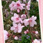 ヒメ日記 2026/03/17 17:40 投稿 村瀬 渚 こあくまな熟女たち伊勢崎店（KOAKUMAグループ）