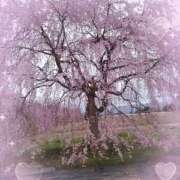 村瀬 渚 本日は有難うございました こあくまな熟女たち伊勢崎店（KOAKUMAグループ）