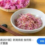 ヒメ日記 2025/12/20 23:34 投稿 さつき 若妻LOVE