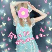 ヒメ日記 2025/05/03 10:01 投稿 りりか 若妻LOVE