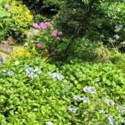 ヒメ日記 2025/06/25 15:14 投稿 新井 熟女の風俗最終章 横浜本店