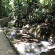 ヒメ日記 2025/07/01 10:36 投稿 新井 熟女の風俗最終章 横浜本店