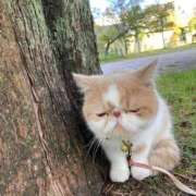 ヒメ日記 2025/07/11 10:24 投稿 新井 熟女の風俗最終章 横浜本店