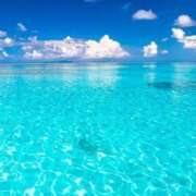 ヒメ日記 2025/08/05 09:44 投稿 新井 熟女の風俗最終章 横浜本店