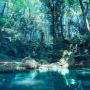 ヒメ日記 2025/08/18 16:04 投稿 新井 熟女の風俗最終章 横浜本店