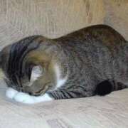 ヒメ日記 2025/10/01 13:44 投稿 新井 熟女の風俗最終章 横浜本店