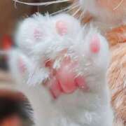 ヒメ日記 2025/04/01 19:48 投稿 戸根 西川口デッドボール