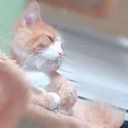 ヒメ日記 2025/09/24 10:48 投稿 戸根 西川口デッドボール