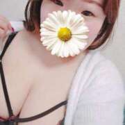 ヒメ日記 2025/11/27 11:02 投稿 戸根 西川口デッドボール