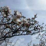 ヒメ日記 2025/04/03 23:41 投稿 さら スパーク日本橋