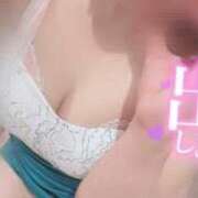 ヒメ日記 2025/03/17 13:01 投稿 うらら チューリップ熊本店