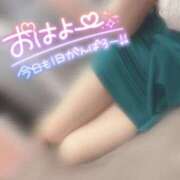 ヒメ日記 2025/03/19 07:21 投稿 うらら チューリップ熊本店