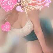 ヒメ日記 2025/03/19 18:07 投稿 うらら チューリップ熊本店