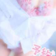 ヒメ日記 2025/04/07 07:51 投稿 うらら チューリップ熊本店