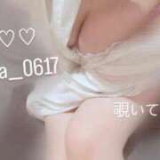 ヒメ日記 2025/04/08 13:01 投稿 うらら チューリップ熊本店