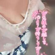 ヒメ日記 2025/04/15 12:21 投稿 うらら チューリップ熊本店