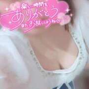 ヒメ日記 2025/04/16 11:51 投稿 うらら チューリップ熊本店