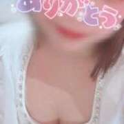 ヒメ日記 2025/04/16 15:21 投稿 うらら チューリップ熊本店