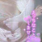 ヒメ日記 2025/04/25 12:21 投稿 うらら チューリップ熊本店