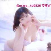 ヒメ日記 2025/04/25 17:21 投稿 うらら チューリップ熊本店