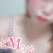 ヒメ日記 2025/05/02 12:36 投稿 うらら チューリップ熊本店