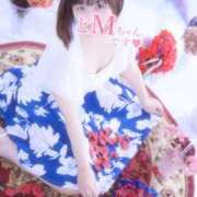 ヒメ日記 2025/05/04 15:21 投稿 うらら チューリップ熊本店