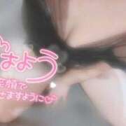 ヒメ日記 2025/06/02 07:21 投稿 うらら チューリップ熊本店