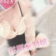 ヒメ日記 2025/06/14 15:21 投稿 うらら チューリップ熊本店