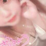 ヒメ日記 2025/07/03 07:20 投稿 うらら チューリップ熊本店