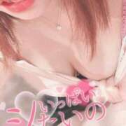 ヒメ日記 2025/07/03 15:20 投稿 うらら チューリップ熊本店