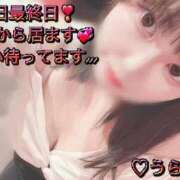 ヒメ日記 2025/10/10 07:20 投稿 うらら チューリップ熊本店