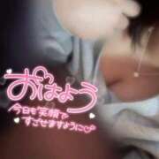 ヒメ日記 2025/10/30 10:20 投稿 うらら チューリップ熊本店