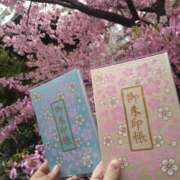 ヒメ日記 2025/03/10 19:07 投稿 れんか 奥様特急　池袋・大塚店